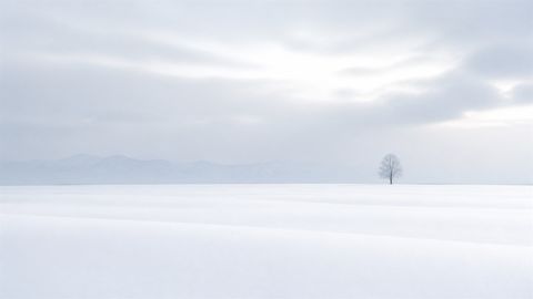 雪原の静けさ